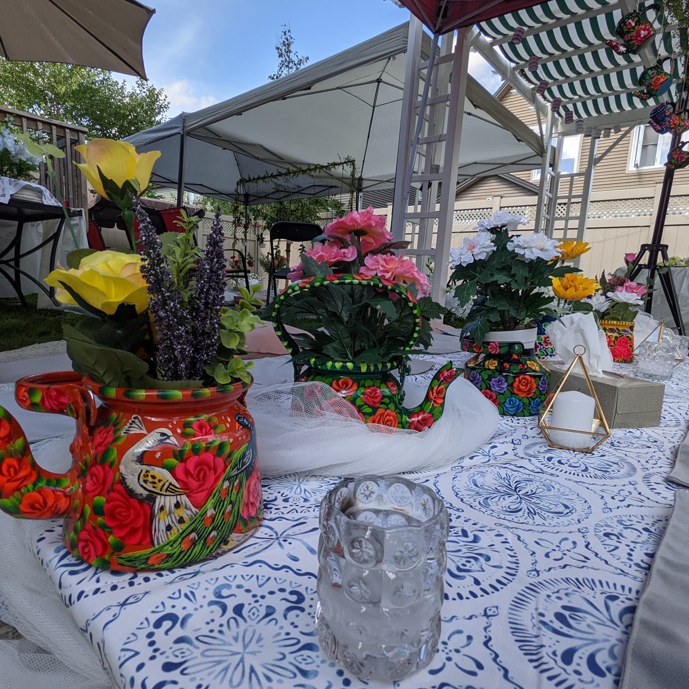 Backyard party — Faya