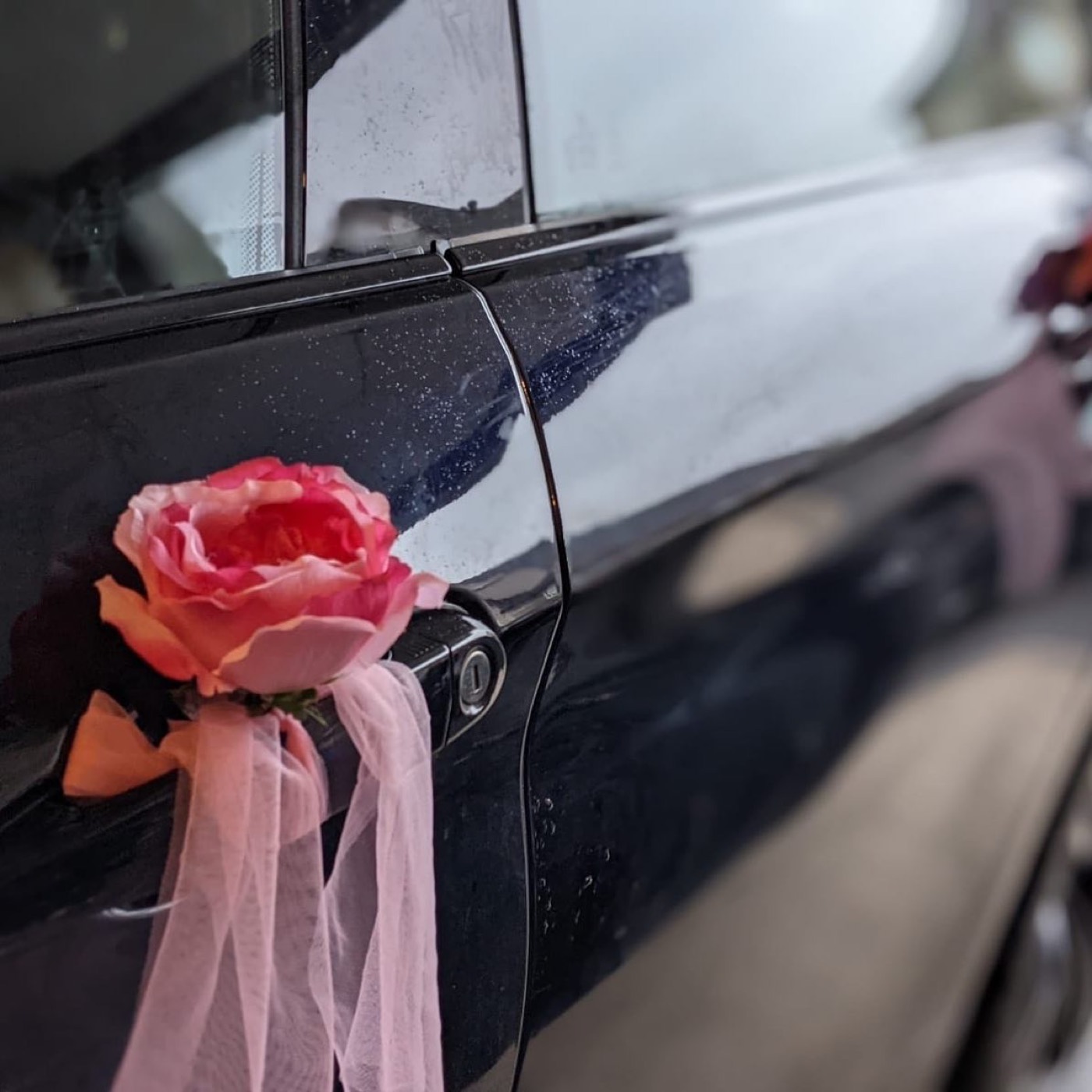 Car Décor — Faya