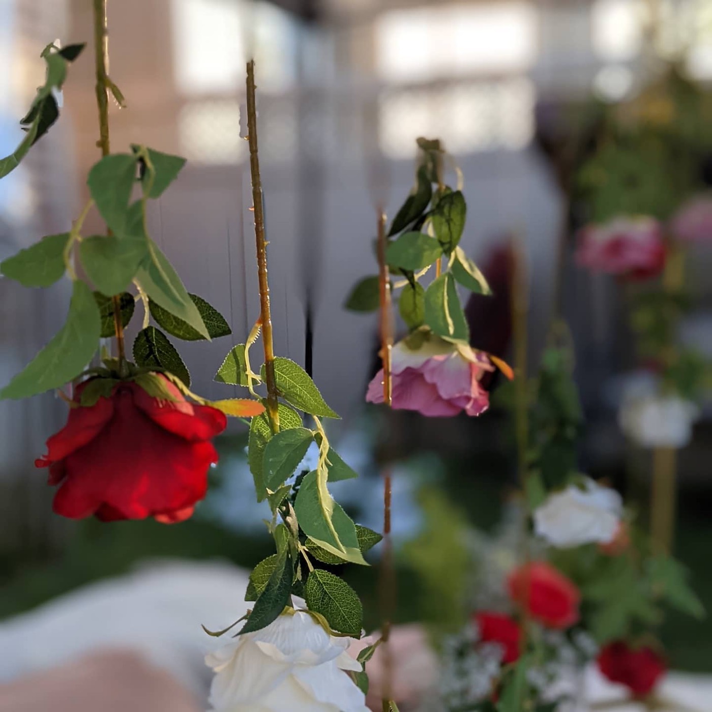 Backyard party — Faya
